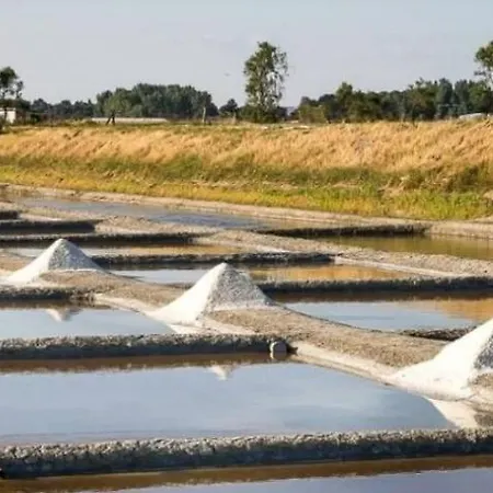 Casa vacanze Les Pivoines Maison Climatisée, Proximité Mer, Plages Et Forêts *