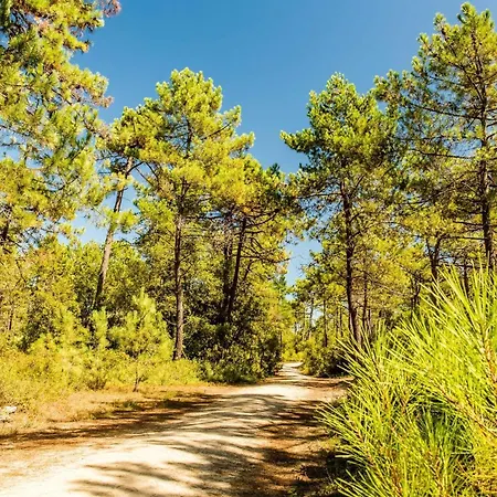 Les Pivoines Maison Climatisee, Proximite Mer, Plages Et Forets Holiday home