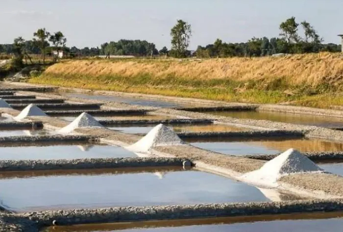 Casa de Férias Les Pivoines Maison Climatisée, Proximité Mer, Plages Et Forêts *